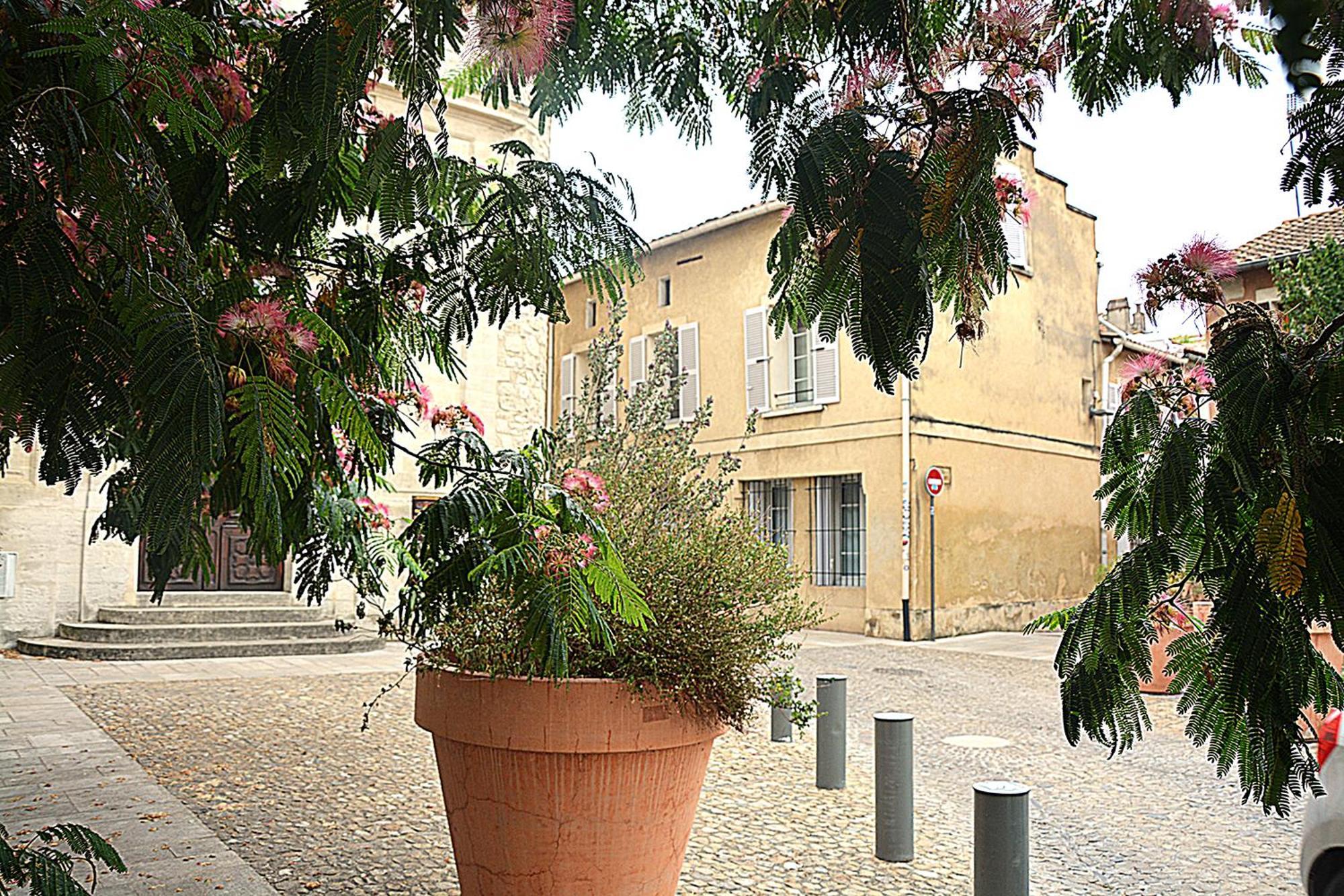 Maison Rascas - Centre Historique - Air Conditioning- Wifi Avignon Ngoại thất bức ảnh